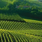 Gasthuis Blueberry La Morra