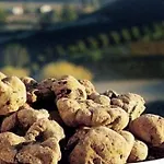 Pensión Blueberry