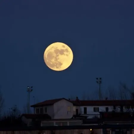 Blueberry 3* La Morra