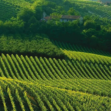 ゲストハウス Blueberry ラ・モッラ