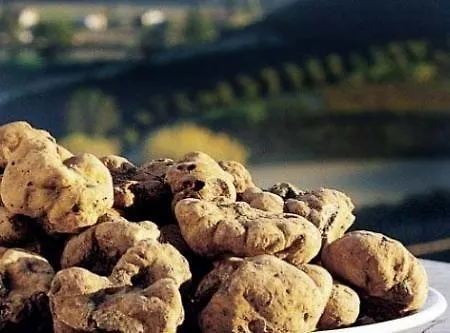 ゲストハウス Blueberry