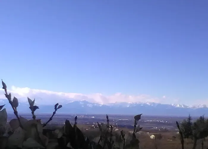 蓝莓客房旅馆 拉莫拉